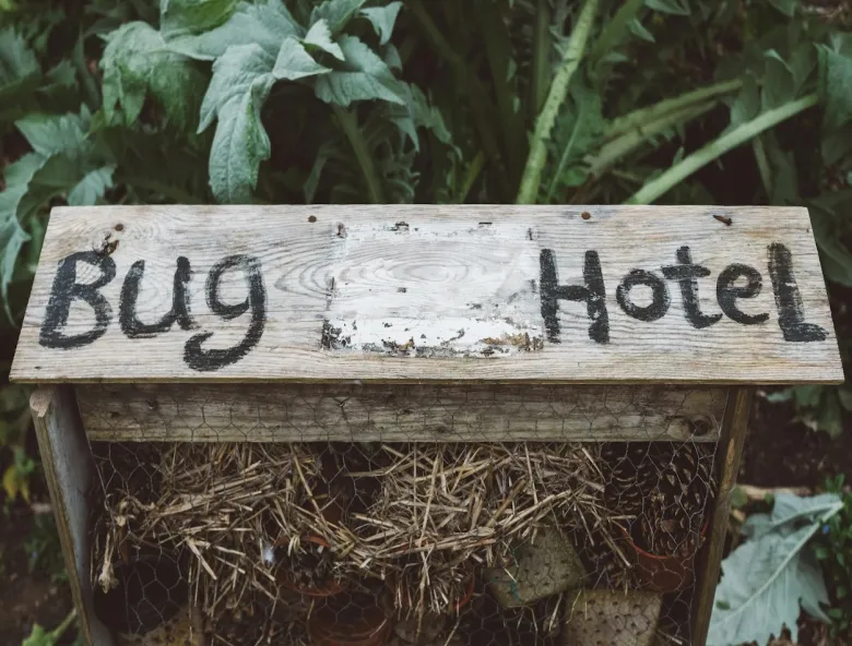 Bug Hotels