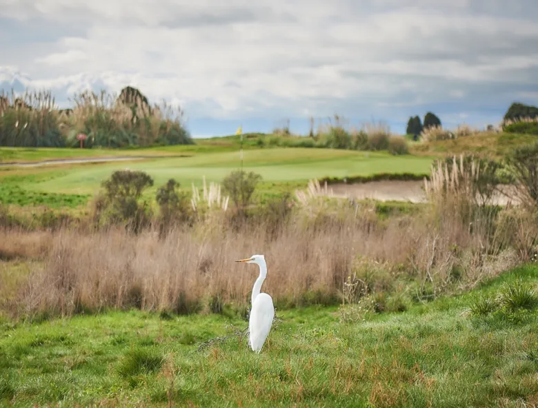 GCSAA environmental leaders