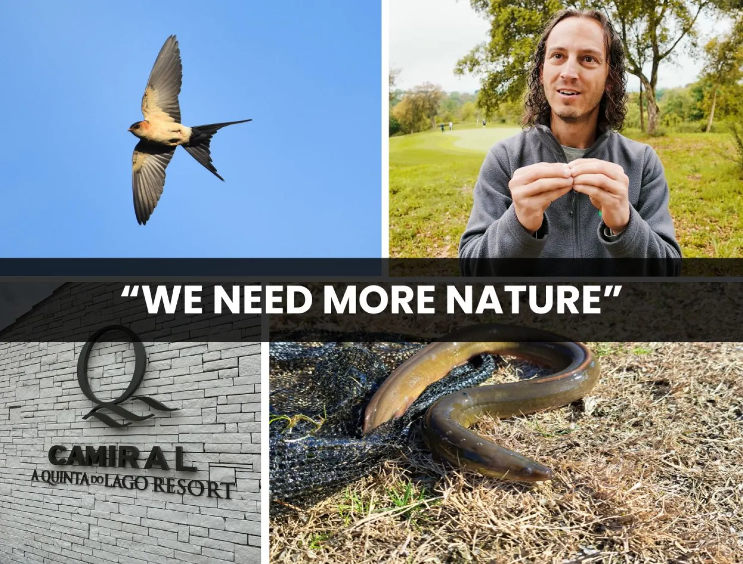 The Green Report Camiral Part 3