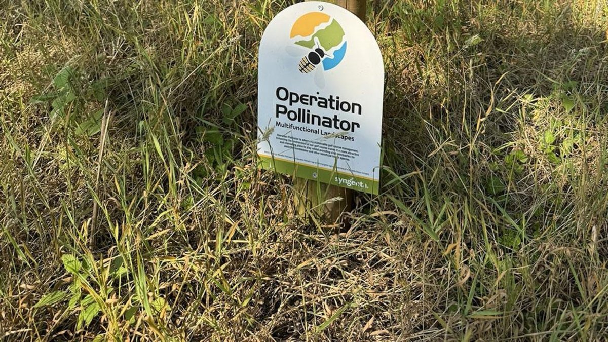 Operation Pollinator