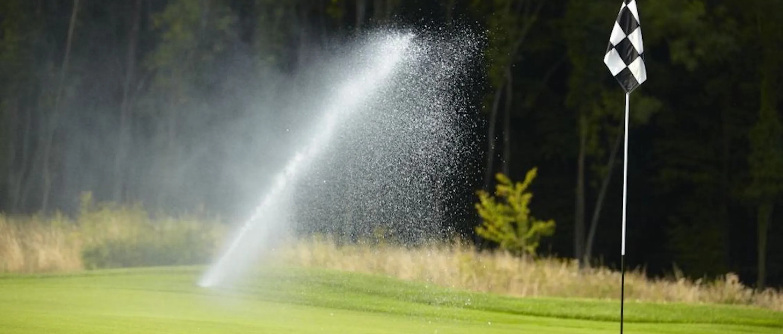 Greenside sprinkler in action
