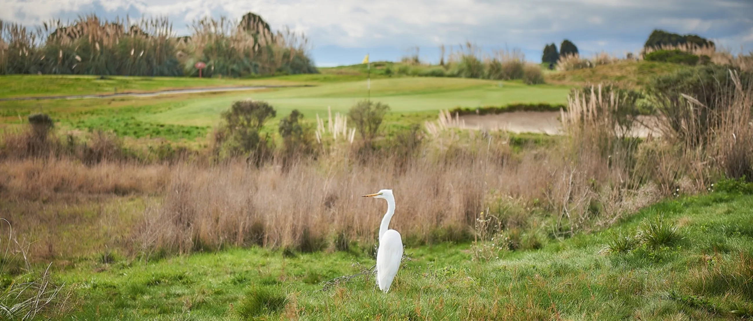 GCSAA environmental leaders