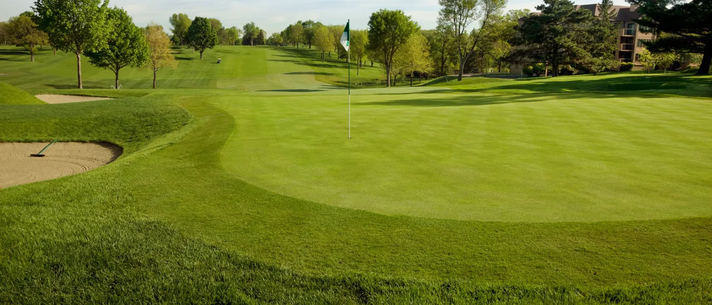 Golf Course Putting Green